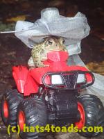 /home//u458753944/public_html/sourcegallery//McKaig Nature Center/2020-10-11/PA110737.JPG